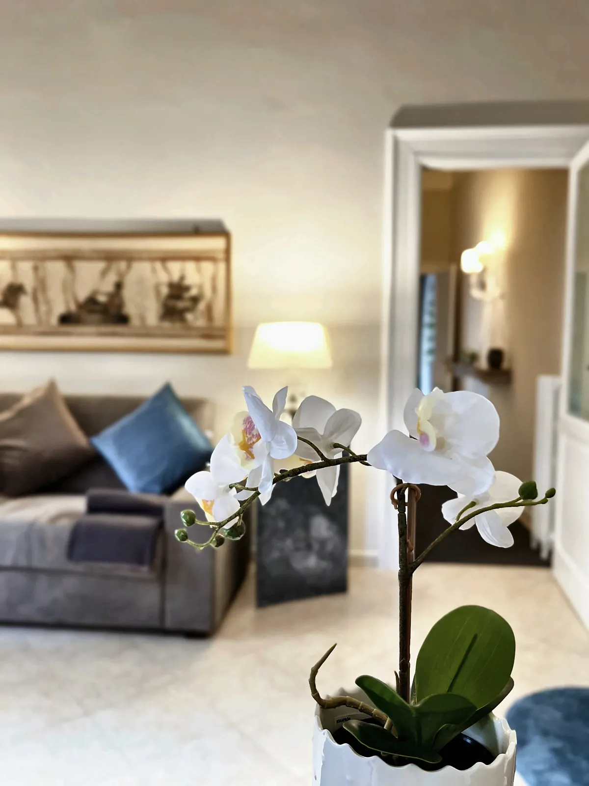 Orchidea bianca nel soggiorno