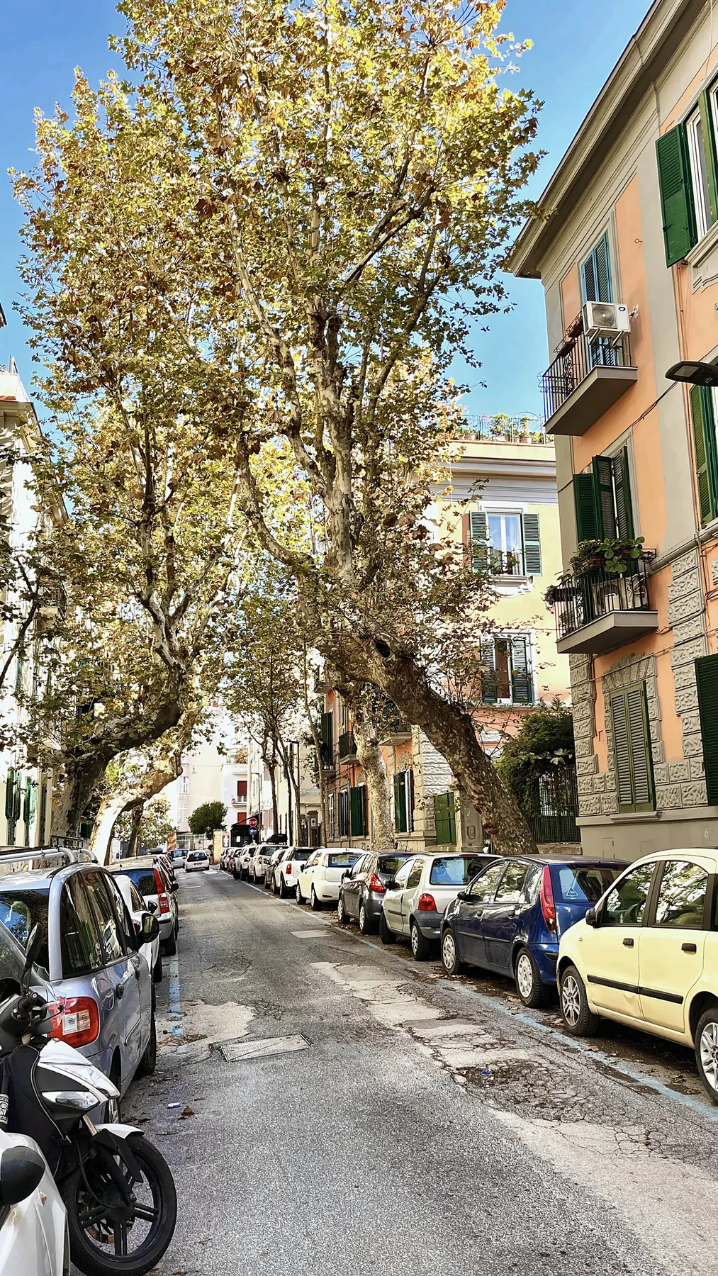 Viale alberato del Vomero